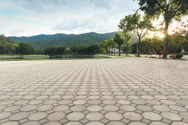 Best Concrete Paver Driveway  in Fox River Grove, IL